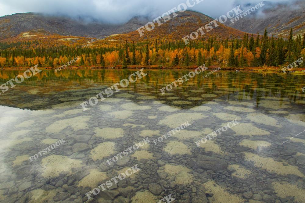 На фотографии изображено горное озеро с кристально чистой водой, в которой отражаются осенний лес и горы Хибин. Каменистое дно озера хорошо видно благодаря прозрачности воды. Пейзаж передаёт атмосферу гармонии и уединения северного края Кольского полуострова.